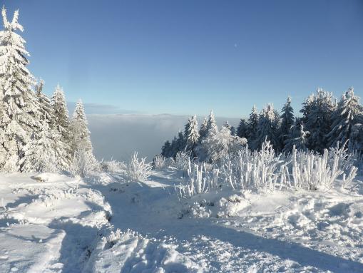 Winterliche Aussicht auf dem Pröller in über 1000 m Höhe