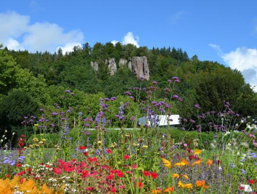 Blick auf die Falkensteinfelsen