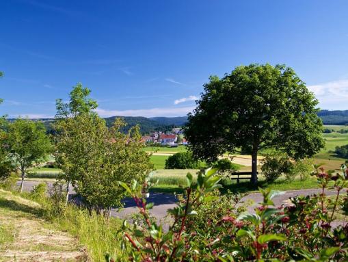 Panoramablick vom Rosenwanderweg auf Nöggenschwiel 