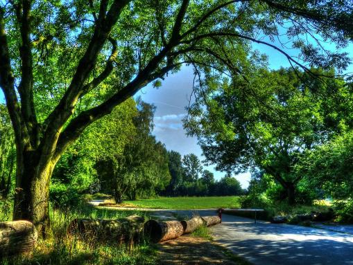 Gelände der ehemaligen Kinderklinik an der Westerholter Straße