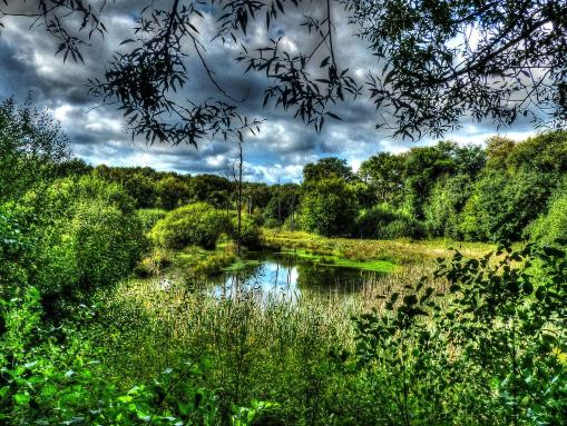 Resser See, Naturschutzgebiet „Im Emscherbruch, nördlich des Ewaldsees