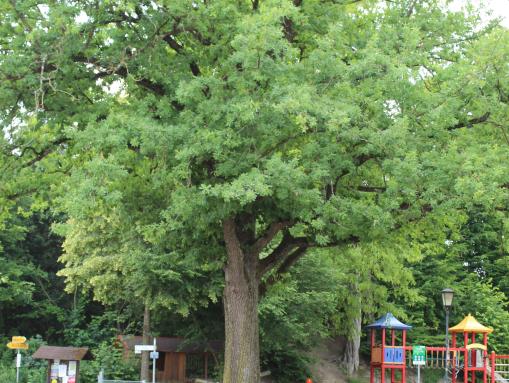 Dorfmitte mit Spielplatz