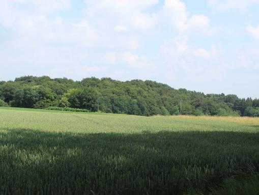 .. mit zahlreichen Radwanderwegen
