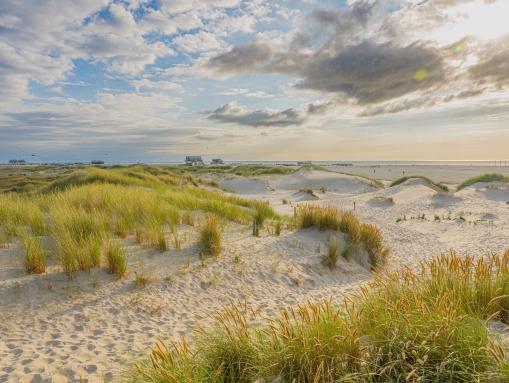Erholsame Dünenlandschaft
