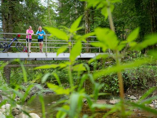 Das idyllische Erlautal, das direkt an die Gemeinde Thyrnau und den Ortsteil Kellberg grenzt.