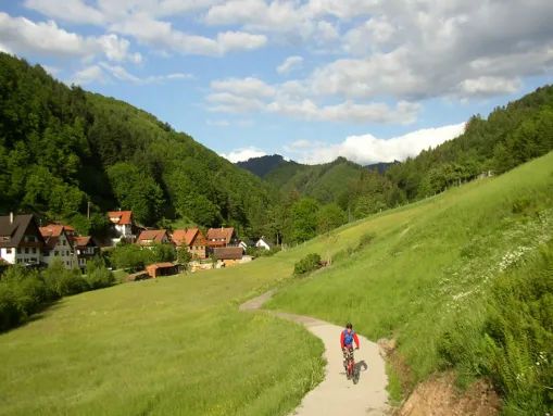 Joseph-Schneider-Weg