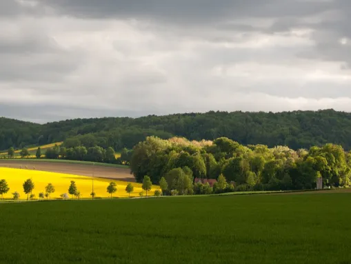 Die Umgebung von Wrisbergholzen