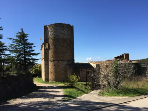 Burg in Viladasens