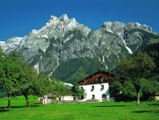 frische Bergluft, blühende Wiesen und Berge