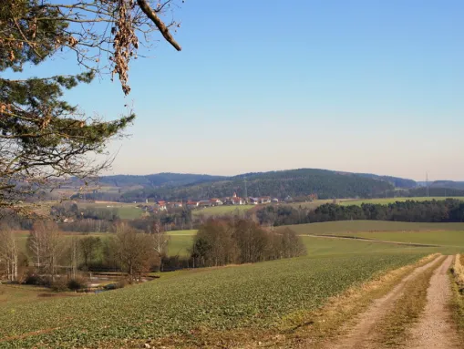 Blick auf den Ortsteil Gösseldorf