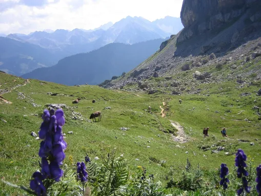 Kleinwalsertal - Natur pur am Gottesacker