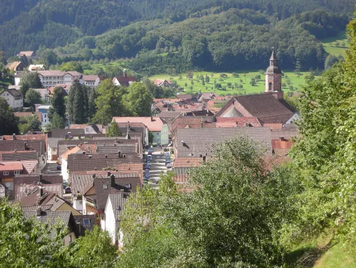 Blick auf Oppenau