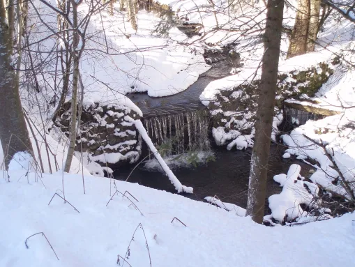 Der Wörgler Bach