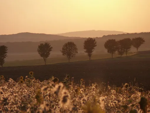 Blick vom Roten Uferberg über das Gartetal