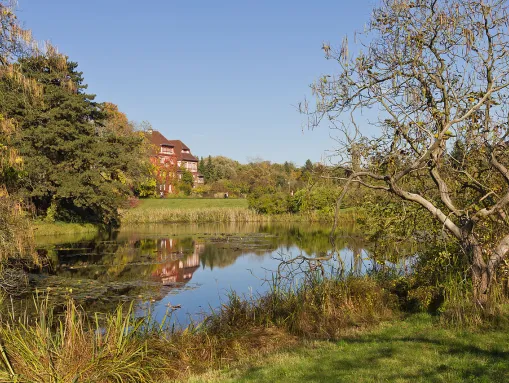 Botanischer Garten in Lichterfelde