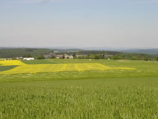 Sommerwiesen vor Raversbeuren