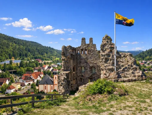 Burgruine Schenkenburg