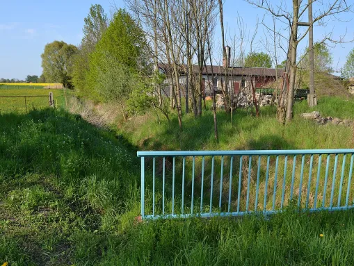 Fuchsgraben an der Sophienthaler Straße