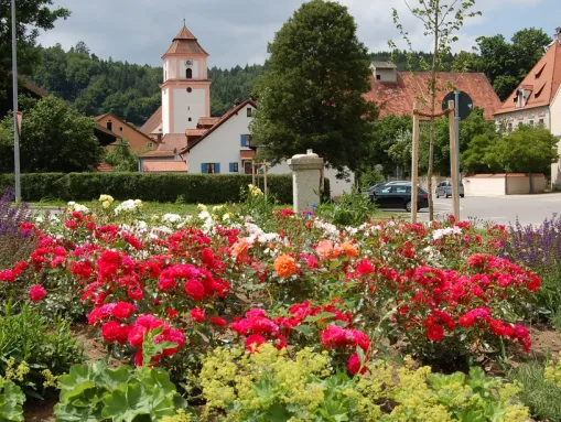 Der Rosenweg in Breitenbrunn 