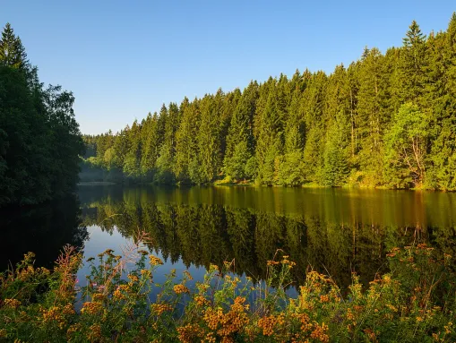 Hüttenteich