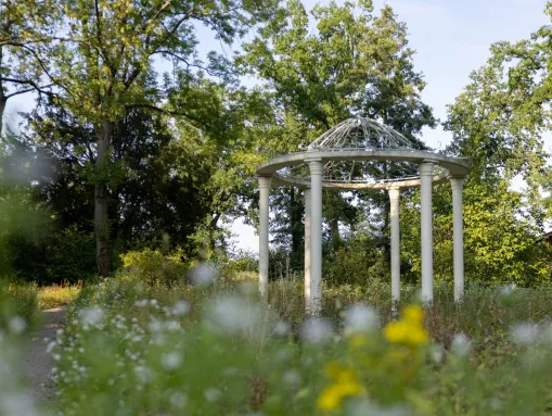 Offener Säulentempel in der historischen Anlage des Bispinghofs