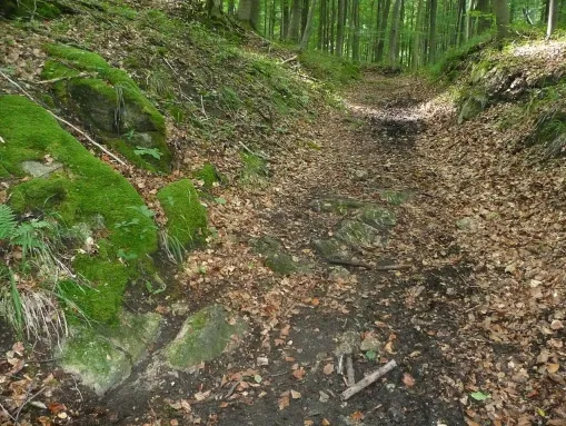Römerstraße Trier–Köln im Hang des Urfttales