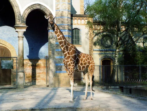 Der Zoologische Garten gilt als artenreichster Zoo