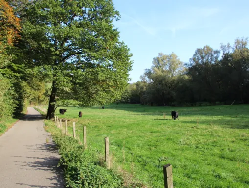 Stefansbachtal