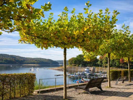 ... der als einer der schönsten Seen des Sauerlands bezeichnet wird