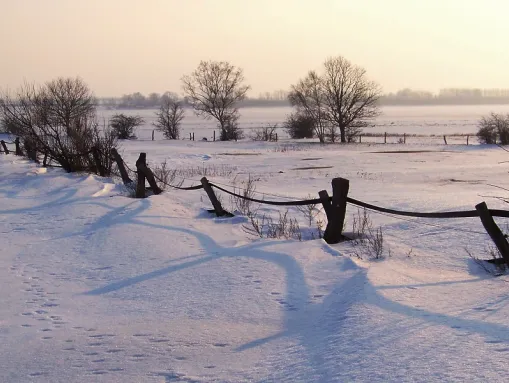 Winter auf dem Boiensdorfer Werder