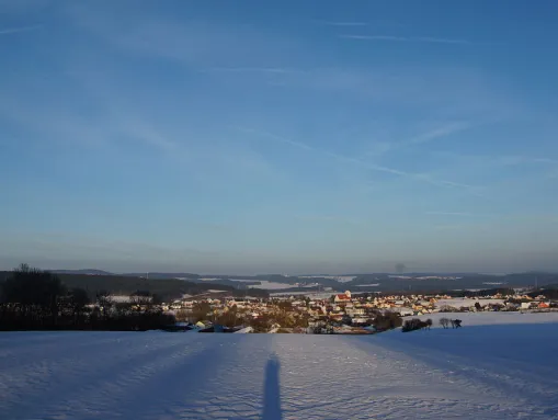 Blick auf Trisching bei Schmidgaden