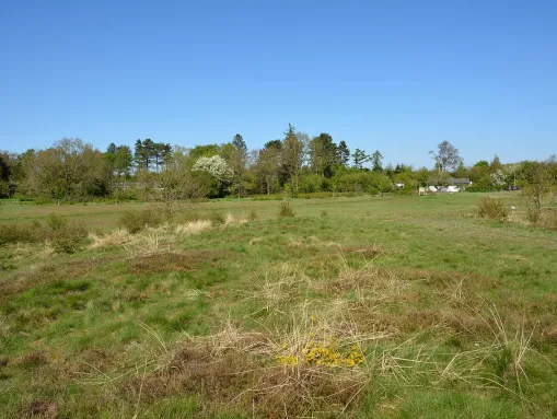 Naturerlebnisraum "Posberg"