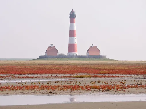 Salzwiese und Watt mit Leuchtturm Westerheversand