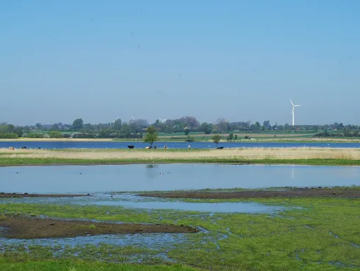 Naturschutzgebiet Schwansener See