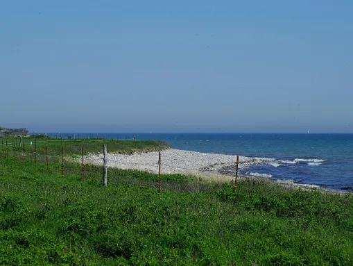 Naturschutzgebiet Schwansener See