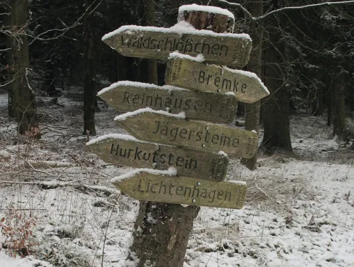 Wegweiser im Reinhäuser Wald