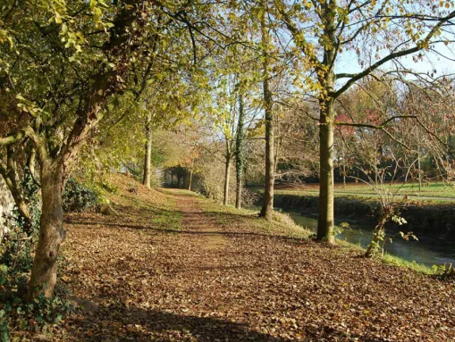 Impressionen aus Kervenheim