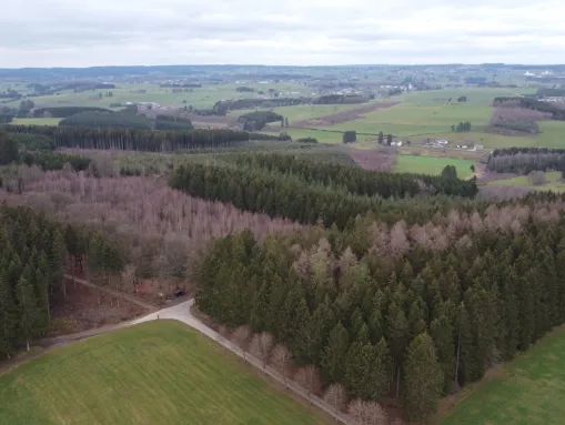 Wandern in Winterspelt