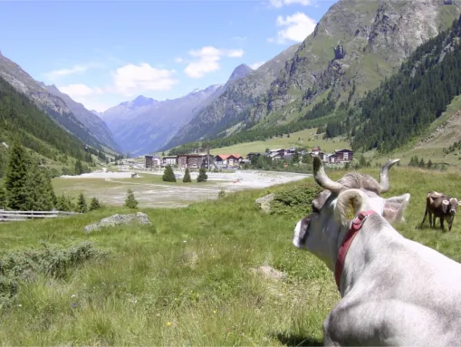 Blick auf den Ortsteil Mandarfen von Norden