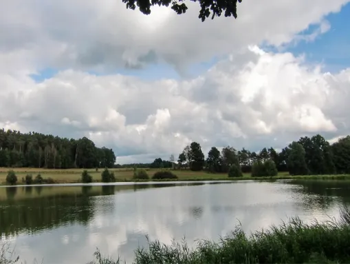 Weiher bei Schmidgaden