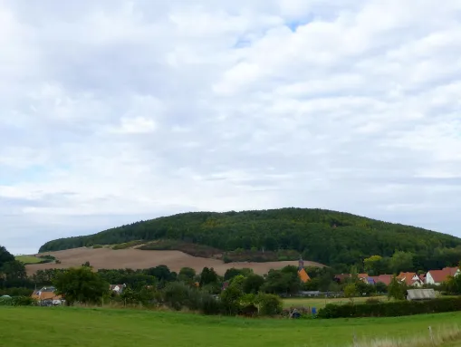 Der Höhberg (Mitte-rechts), links der Voßberg