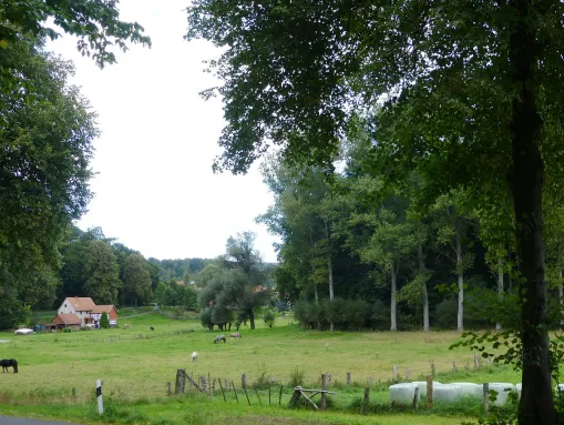 Gartetal zw. Rittmarshausen und Wöllmarshausen