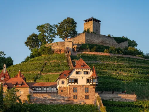 Burg Hohenbeilstein