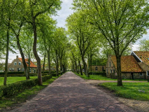 Mit Ziegelsteinen gepflasterte Straße in Ballum. Im Hintergrund Bauernhäuser aus dem 18. Jahrhundert.