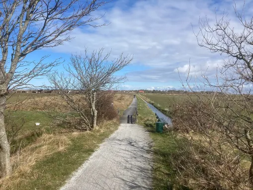 Deichweg bei Ballum