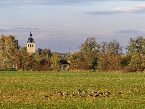 Buch - Ortsteil von Tangermünde – Natur pur am Zusammenfluss von Elbe und Tanger