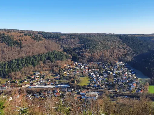 Zwingenberg Luftbild 