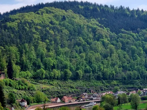 Zwingenberg, zwischen Odenwald....
