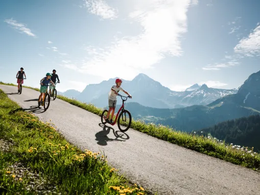 Gemeinsamer Trottinett-Plausch bei der Abfahrt nach Adelboden