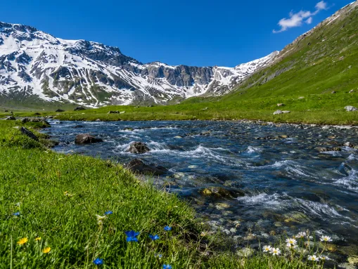 Bergidylle auf der Engstligenalp